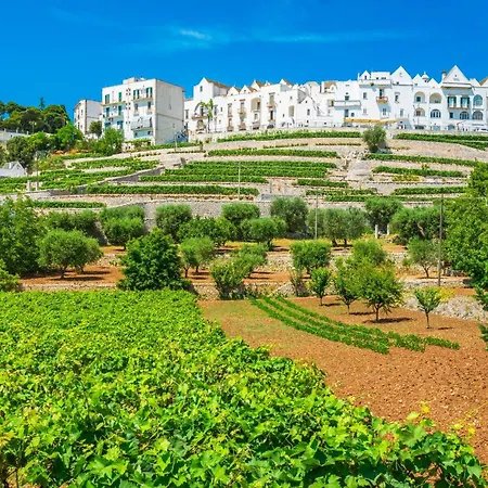 Tenuta Nicla With Pool